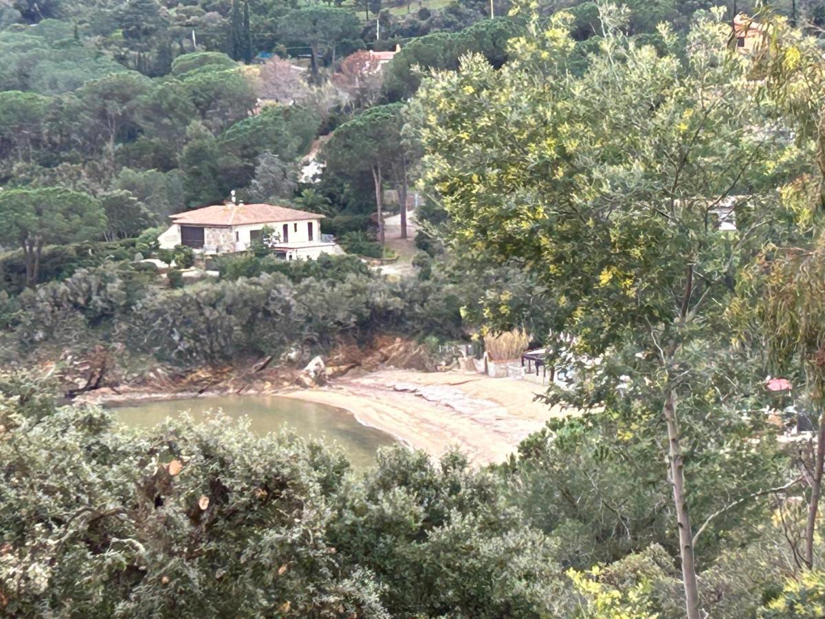 Suosogno Sul Mare 200Metri Dalla Spiaggia Capoliveri  Bagian luar foto