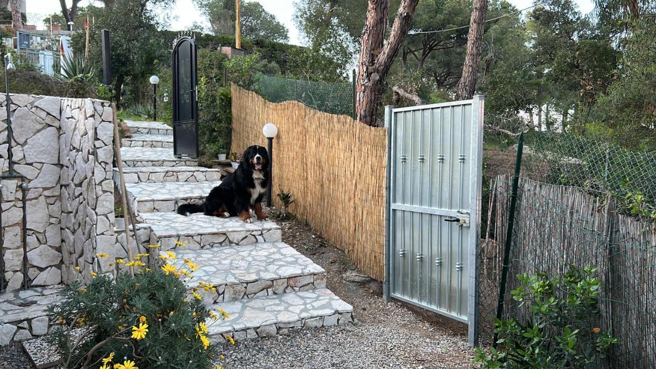 Suosogno Sul Mare 200Metri Dalla Spiaggia Capoliveri  Bagian luar foto